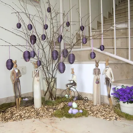 Delia Will 제바트헤링스도르프