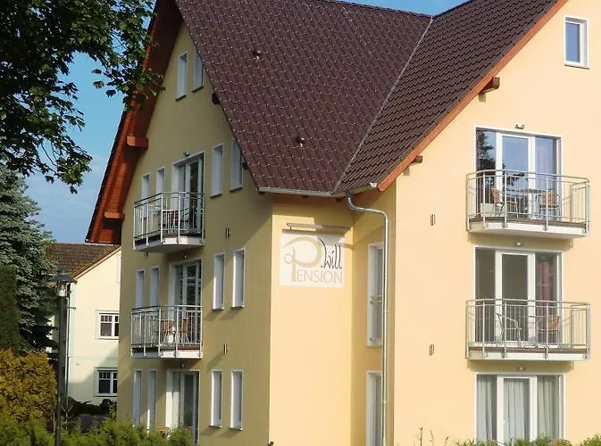 Delia Will Heringsdorf (Usedom)